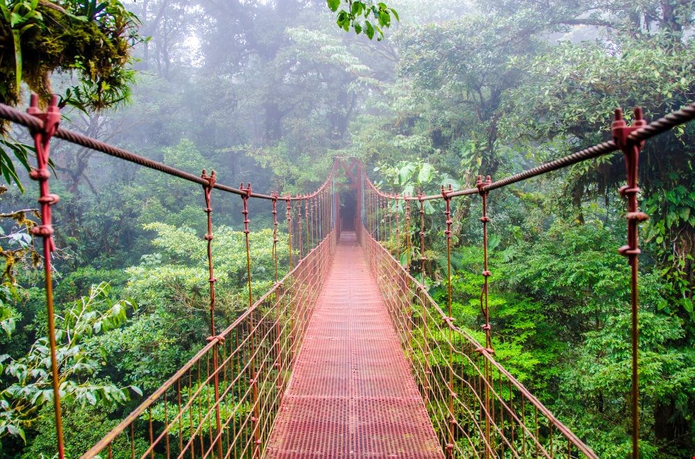 2. Verken de nevelwouden van Monteverde 2. Verken de nevelwouden van Monteverde